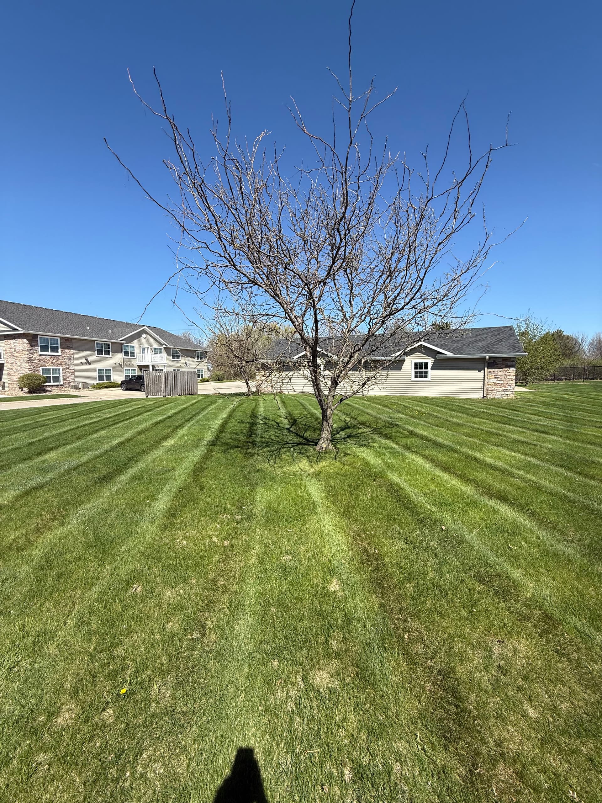 Commercial Mowing Season is Underway in Ames image