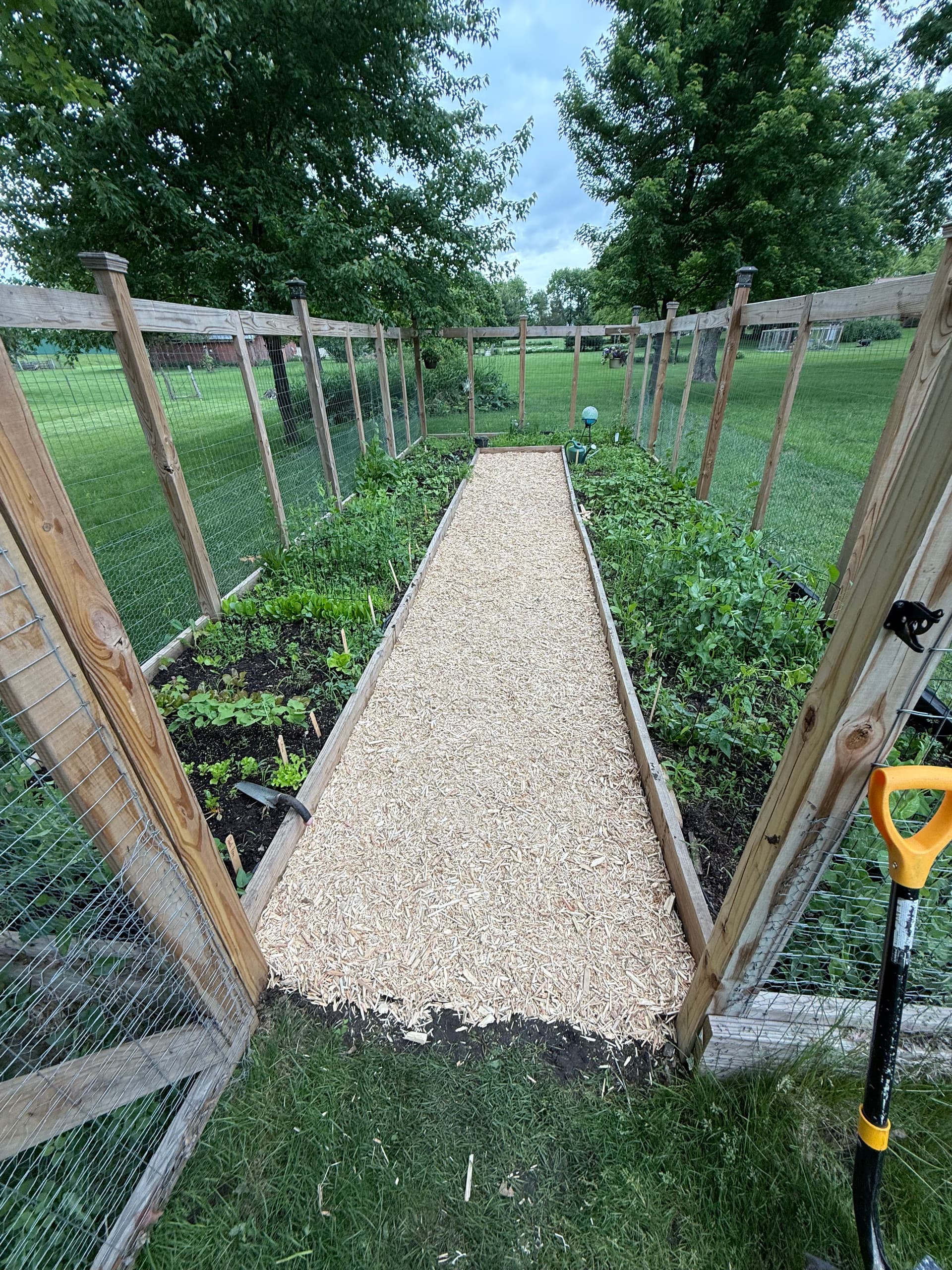 Fresh Mulch Walkway Makes This Garden Space Actually Usable image