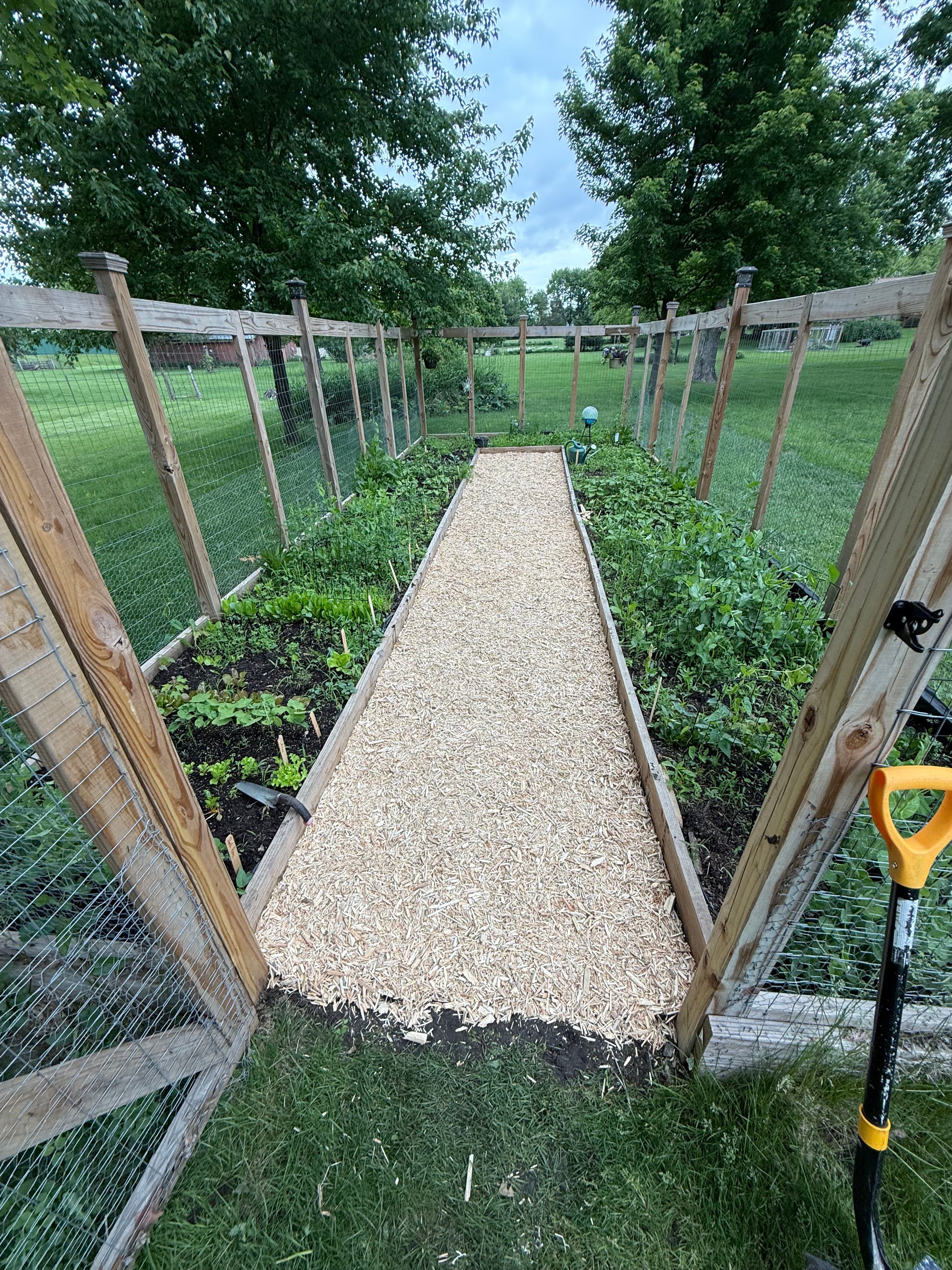 Project Fresh Mulch Walkway Makes This Garden Space Actually Usable image