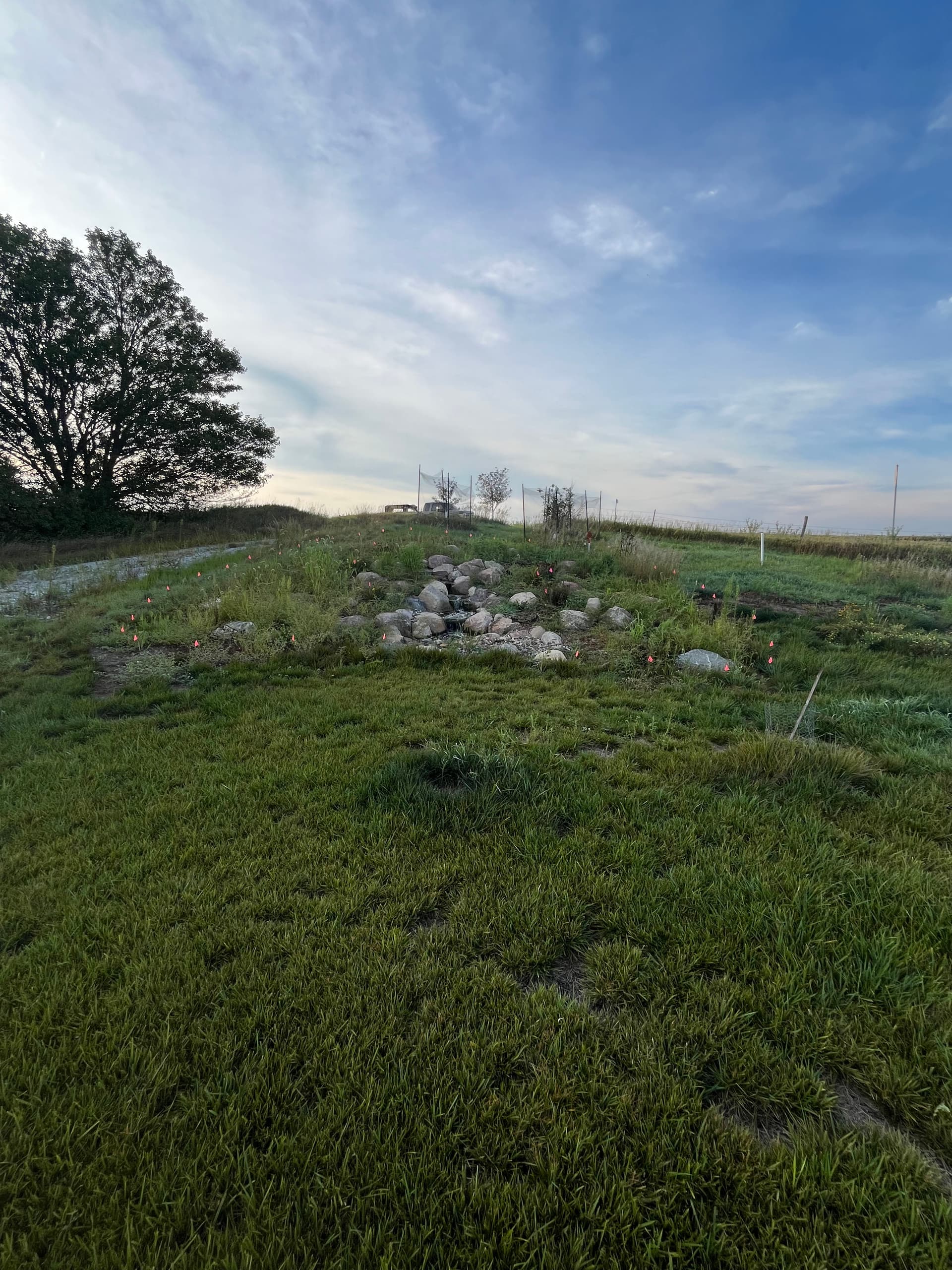 Gallery photos for Water Feature Mulch and Rock Bed Clean-Up in Gilbert Iowa: Image #1