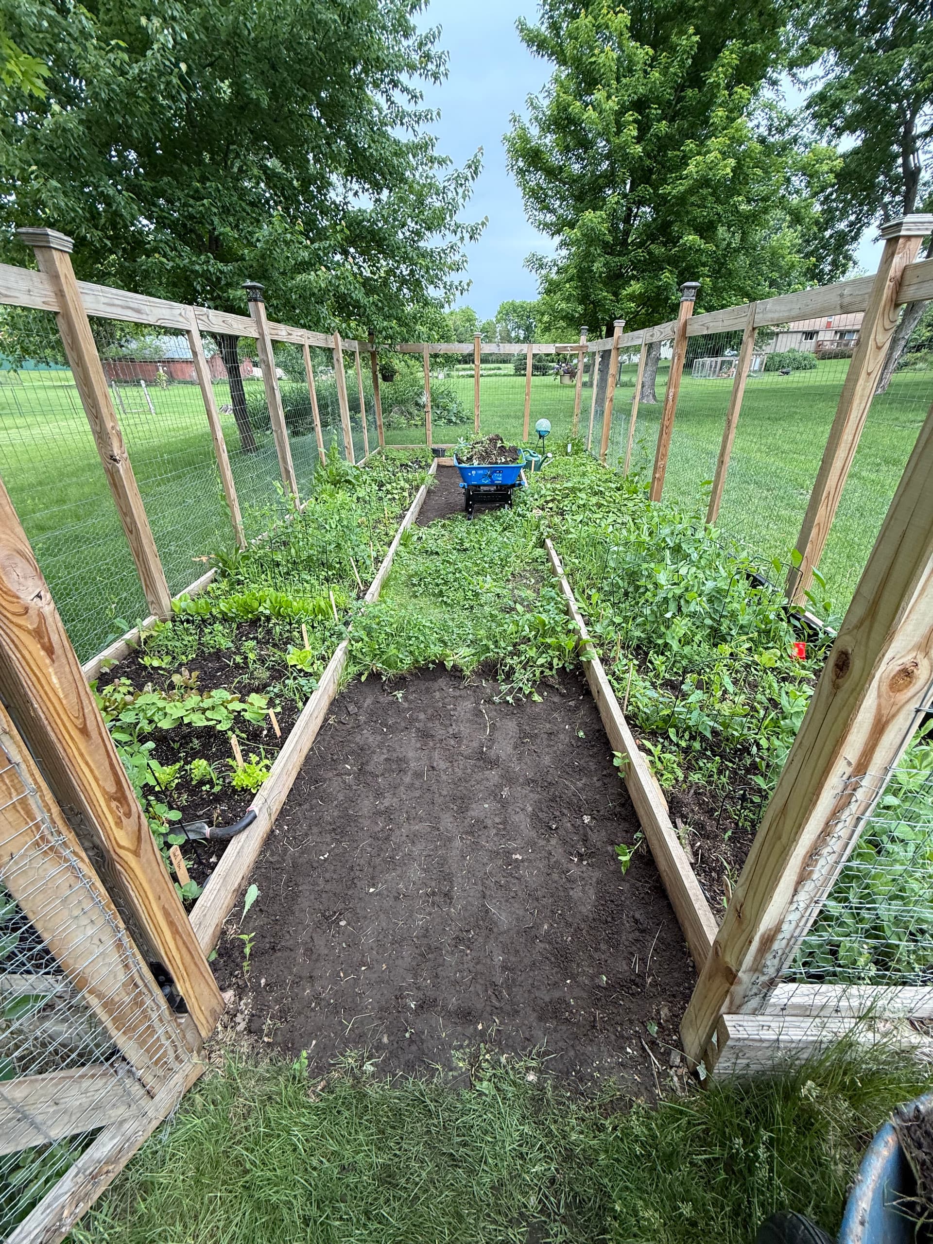 Gallery photos for Fresh Mulch Walkway Makes This Garden Space Actually Usable: Image #1