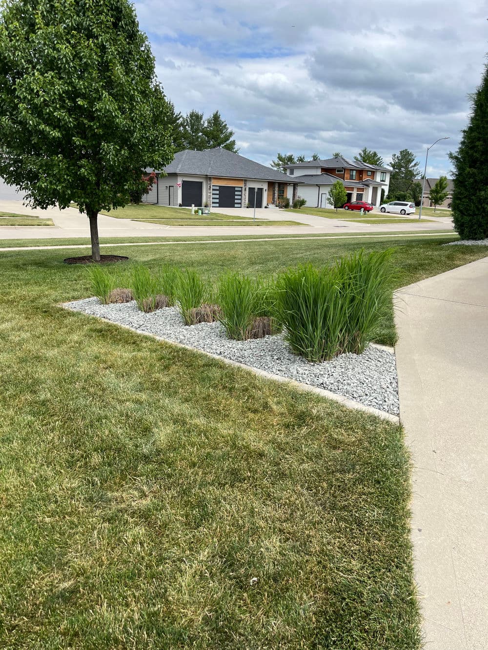 Landscape design featuring ornamental grasses and gravel in a residential neighborhood.