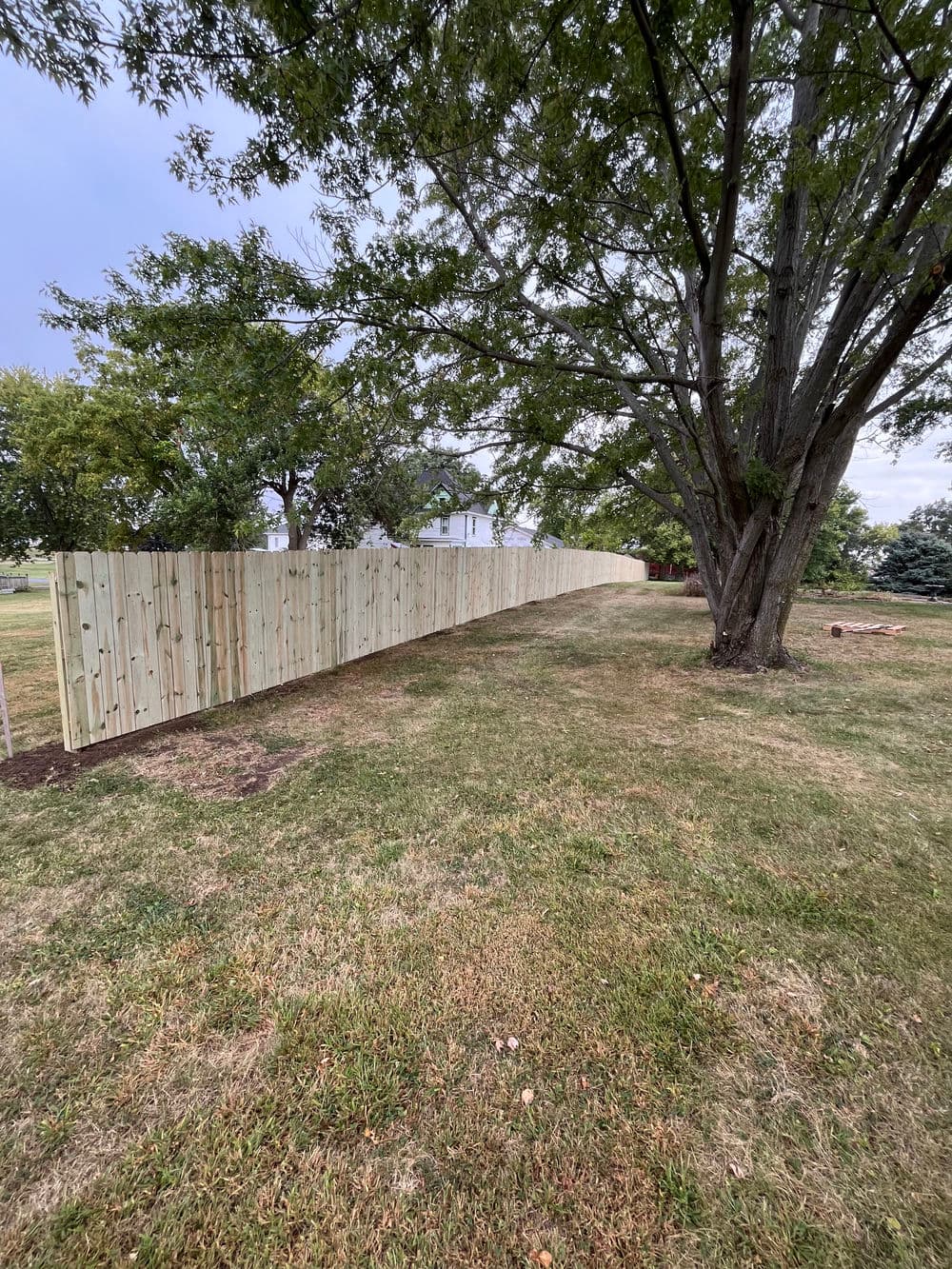 Newly installed wooden fence running alongside a grassy yard with trees in the background.